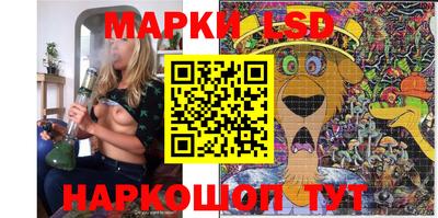 гидропоника Краснознаменск