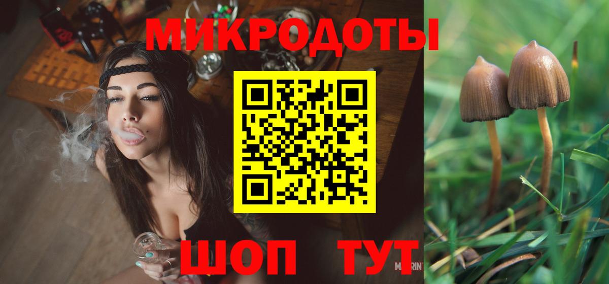 Галлюциногенные грибы Psilocybine cubensis  что такое   Калач-на-Дону  Псилоцибиновые грибы Magic Shrooms  Вход с VPN 